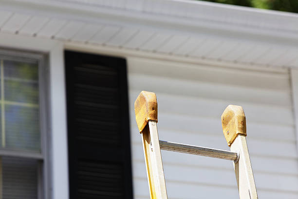 Best Brick Veneer Siding  in Port Washington, WI